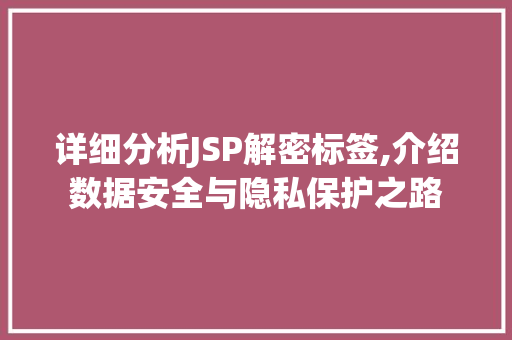 详细分析JSP解密标签,介绍数据安全与隐私保护之路