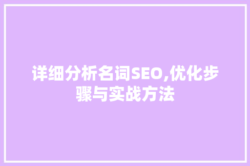 详细分析名词SEO,优化步骤与实战方法 详细分析名词SEO,优化步骤与实战方法 百度SEO