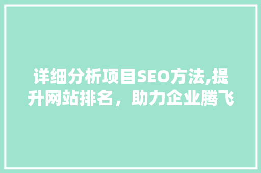 详细分析项目SEO方法,提升网站排名，助力企业腾飞 详细分析项目SEO方法,提升网站排名，助力企业腾飞 百度SEO