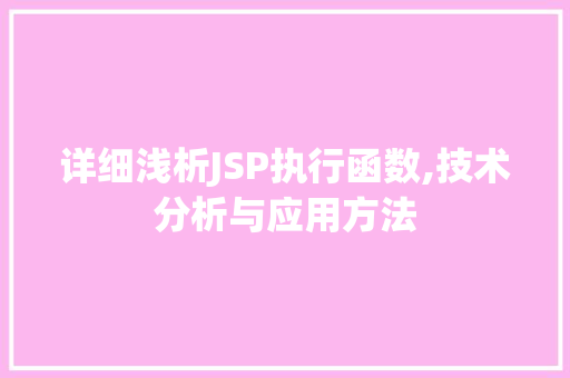 详细浅析JSP执行函数,技术分析与应用方法