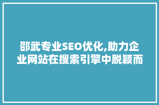 邵武专业SEO优化,助力企业网站在搜索引擎中脱颖而出