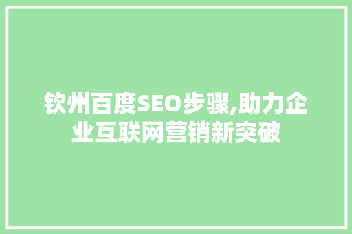 钦州百度SEO步骤,助力企业互联网营销新突破 钦州百度SEO步骤,助力企业互联网营销新突破 GoogleSEO