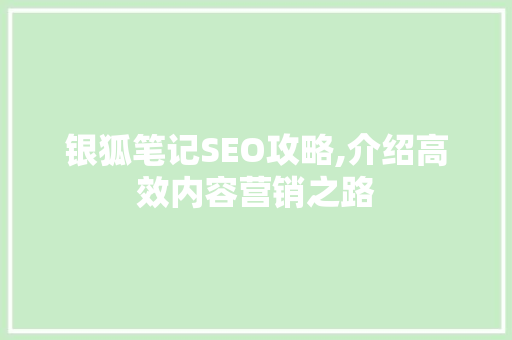 银狐笔记SEO攻略,介绍高效内容营销之路