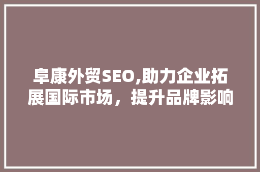 阜康外贸SEO,助力企业拓展国际市场，提升品牌影响力