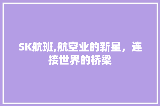 SK航班,航空业的新星，连接世界的桥梁 SK航班,航空业的新星，连接世界的桥梁 神马SEO