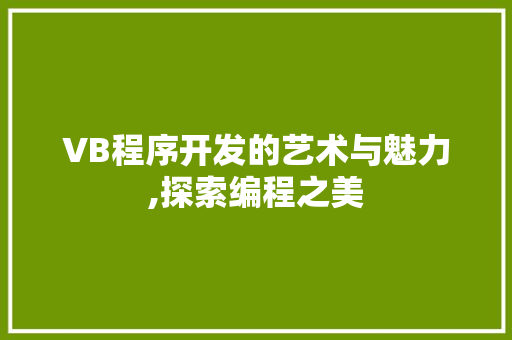 VB程序开发的艺术与魅力,探索编程之美