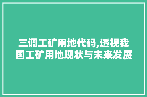 三调工矿用地代码,透视我国工矿用地现状与未来发展趋势