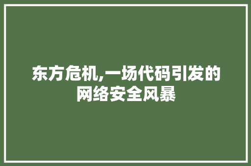 东方危机,一场代码引发的网络安全风暴 东方危机,一场代码引发的网络安全风暴 神马SEO