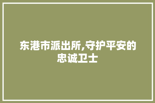 东港市派出所,守护平安的忠诚卫士 东港市派出所,守护平安的忠诚卫士 百度SEO