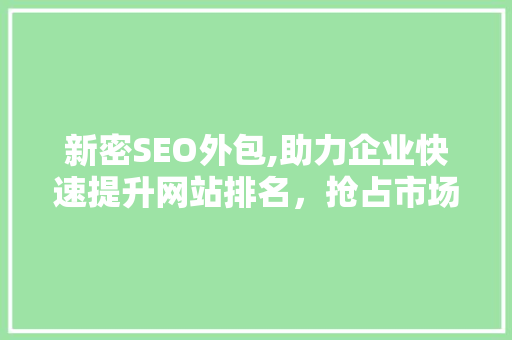 新密SEO外包,助力企业快速提升网站排名，抢占市场先机