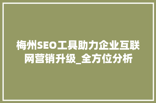 梅州SEO工具助力企业互联网营销升级_全方位分析