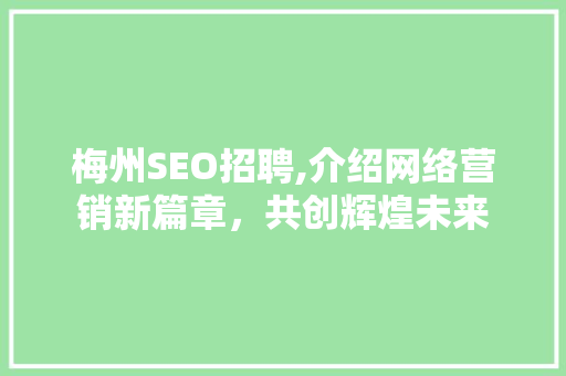 梅州SEO招聘,介绍网络营销新篇章，共创辉煌未来