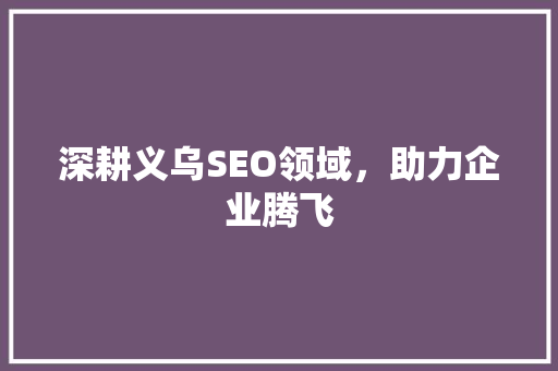深耕义乌SEO领域，助力企业腾飞
