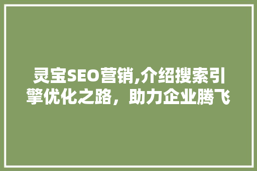 灵宝SEO营销,介绍搜索引擎优化之路，助力企业腾飞