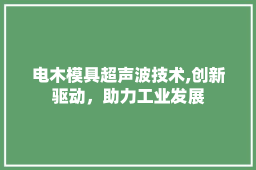 电木模具超声波技术,创新驱动，助力工业发展