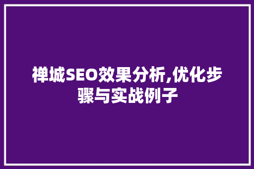 禅城SEO效果分析,优化步骤与实战例子