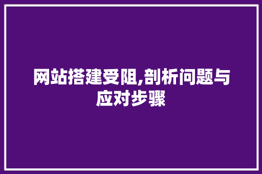 网站搭建受阻,剖析问题与应对步骤 网站搭建受阻,剖析问题与应对步骤 百度SEO