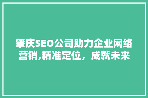 肇庆SEO公司助力企业网络营销,精准定位，成就未来