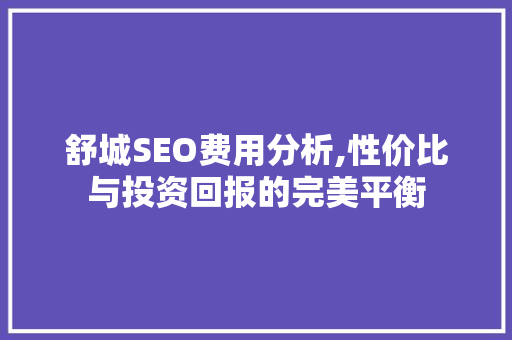 舒城SEO费用分析,性价比与投资回报的完美平衡