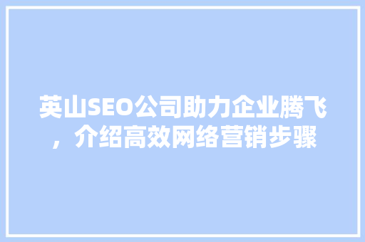 英山SEO公司助力企业腾飞，介绍高效网络营销步骤