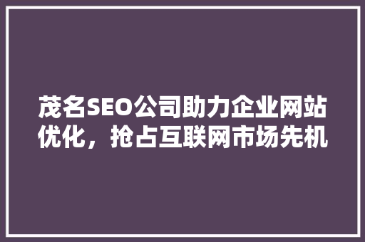 茂名SEO公司助力企业网站优化，抢占互联网市场先机