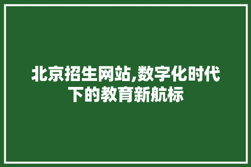 北京招生网站,数字化时代下的教育新航标 北京招生网站,数字化时代下的教育新航标 神马SEO