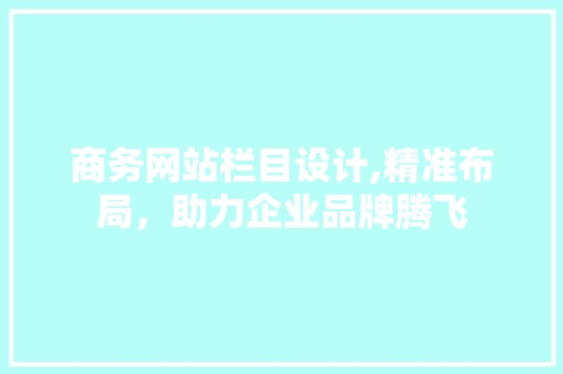 商务网站栏目设计,精准布局，助力企业品牌腾飞