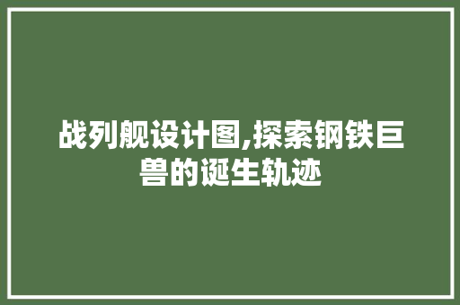 战列舰设计图,探索钢铁巨兽的诞生轨迹 战列舰设计图,探索钢铁巨兽的诞生轨迹 必应SEO