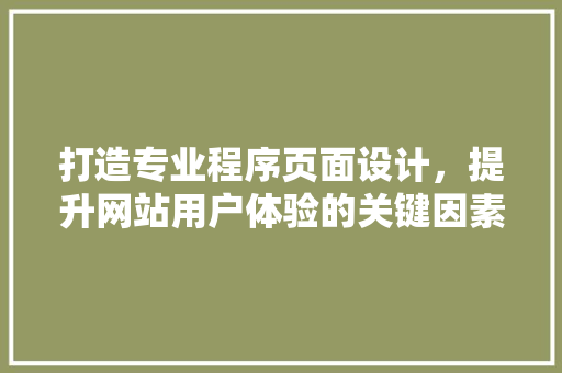 打造专业程序页面设计，提升网站用户体验的关键因素 打造专业程序页面设计，提升网站用户体验的关键因素 神马SEO