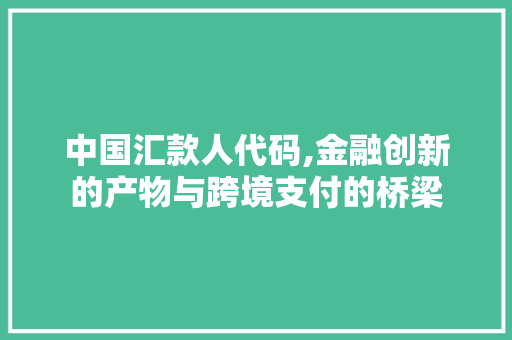 中国汇款人代码,金融创新的产物与跨境支付的桥梁