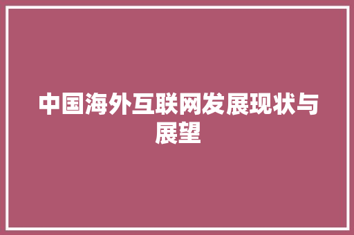 中国海外互联网发展现状与展望 中国海外互联网发展现状与展望 神马SEO