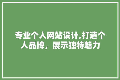 专业个人网站设计,打造个人品牌，展示独特魅力