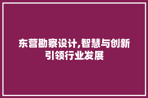 东营勘察设计,智慧与创新引领行业发展