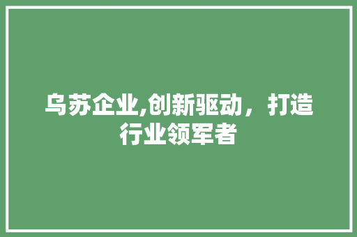 乌苏企业,创新驱动，打造行业领军者