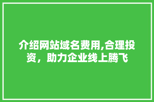介绍网站域名费用,合理投资，助力企业线上腾飞 介绍网站域名费用,合理投资，助力企业线上腾飞 神马SEO