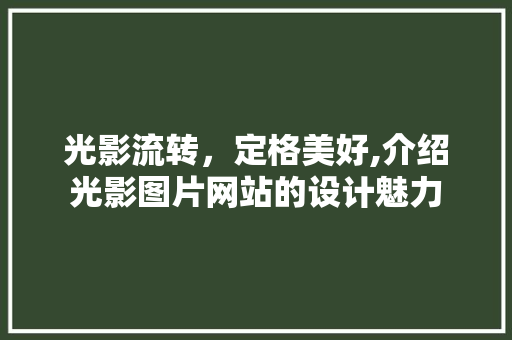 光影流转，定格美好,介绍光影图片网站的设计魅力