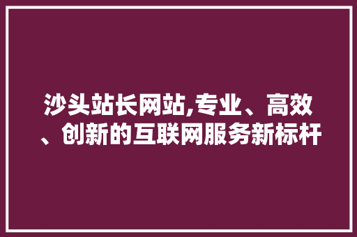 沙头站长网站,专业、高效、创新的互联网服务新标杆