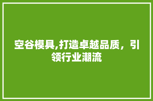 空谷模具,打造卓越品质，引领行业潮流 空谷模具,打造卓越品质，引领行业潮流 百度SEO