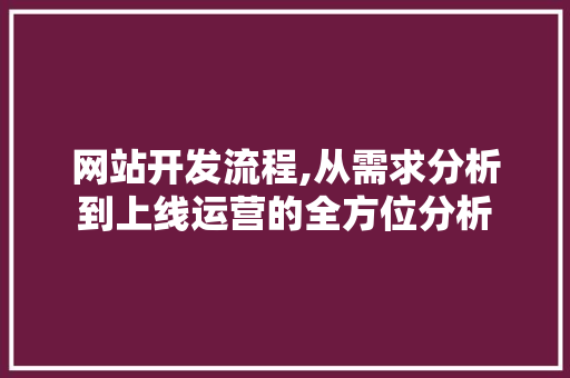 网站开发流程,从需求分析到上线运营的全方位分析