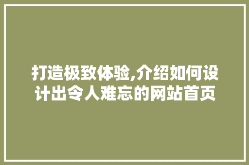 打造极致体验,介绍如何设计出令人难忘的网站首页