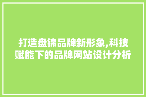 打造盘锦品牌新形象,科技赋能下的品牌网站设计分析