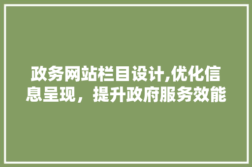 政务网站栏目设计,优化信息呈现，提升政府服务效能