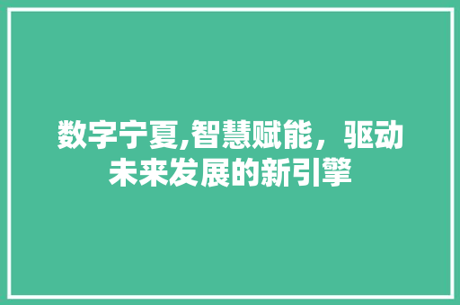 数字宁夏,智慧赋能，驱动未来发展的新引擎