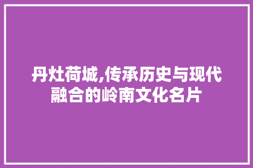 丹灶荷城,传承历史与现代融合的岭南文化名片 丹灶荷城,传承历史与现代融合的岭南文化名片 百度SEO