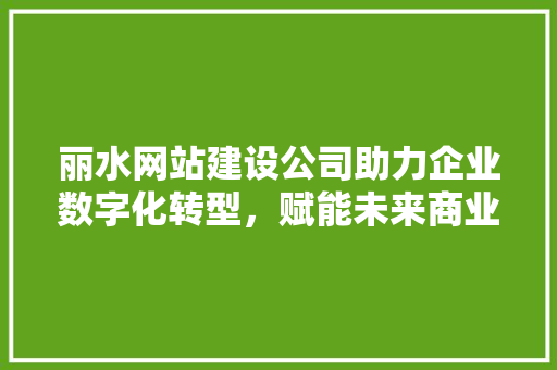 丽水网站建设公司助力企业数字化转型，赋能未来商业新格局 丽水网站建设公司助力企业数字化转型，赋能未来商业新格局 神马SEO