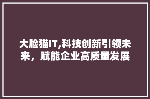 大脸猫IT,科技创新引领未来，赋能企业高质量发展