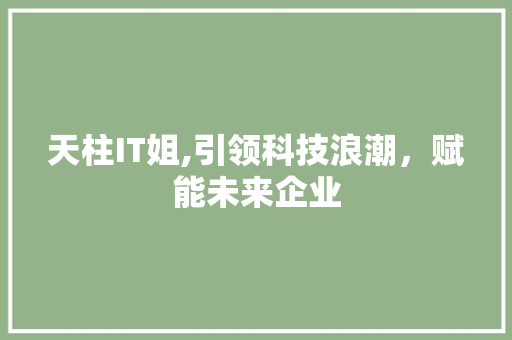 天柱IT姐,引领科技浪潮，赋能未来企业