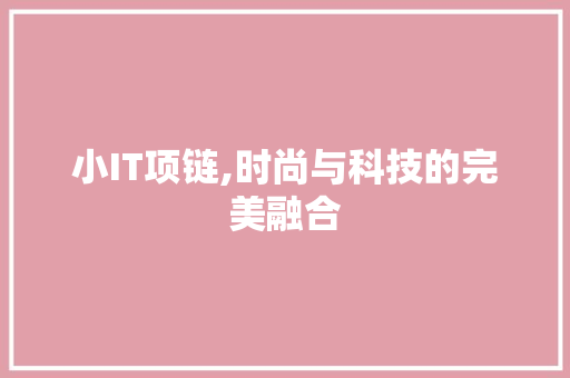 小IT项链,时尚与科技的完美融合 GoogleSEO