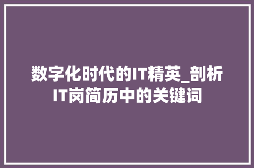 数字化时代的IT精英_剖析IT岗简历中的关键词 神马SEO
