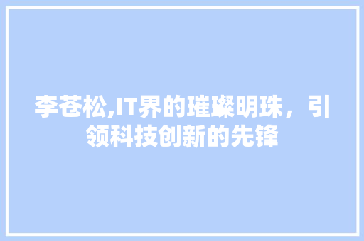 李苍松,IT界的璀璨明珠，引领科技创新的先锋 神马SEO